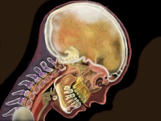 Myoats's tweet image. A Stunning piece By Arual352. 
What can you create at myoats.com?
.
#myoats  #digitalart  #mandala