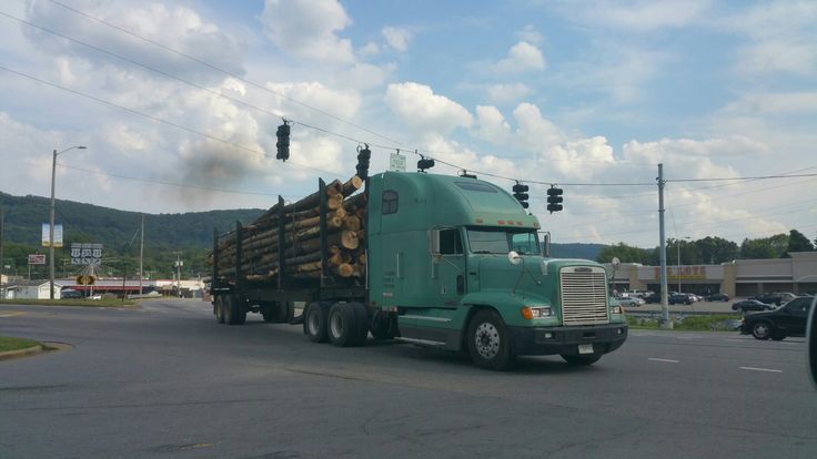 Just Pinned to 18 Wheelers: Logging truck in Fort Payne #Alabama #logger #trucker #trucking #freightliner #trucker ift.tt/2AzMvTs
