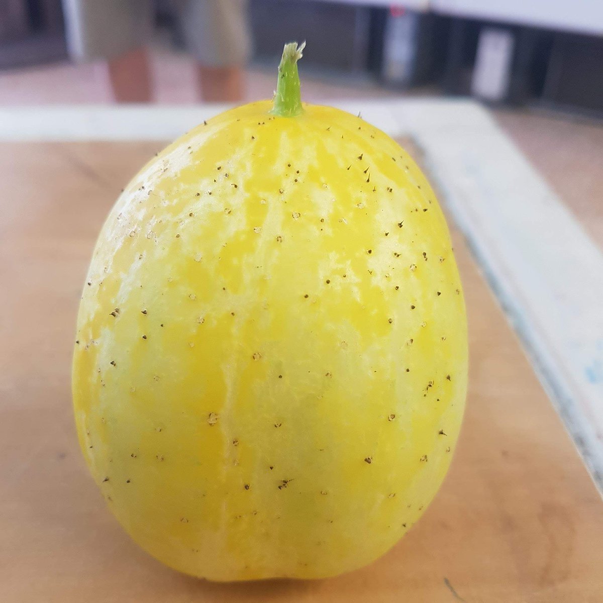 5adayalcester's tweet image. Lemon cucumber available grown in alcester!!! @visitalcester @fat2fyn @warkstn #locallygrown #shoplocal