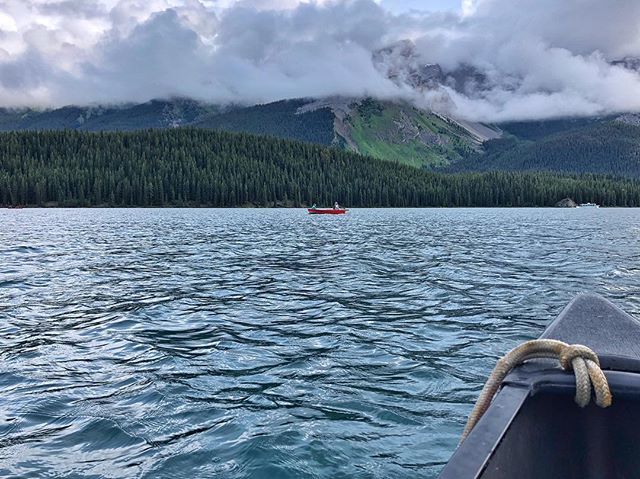 #getoutandcanoe in #MaligneLake
.
.
.
 #Canada #ExploreCanada #Canadasworld #CanadaVacations #TravelAlberta #IgersCanada #roadtrip #iphoneonly #TourCanada iphone8 #iphonetravel #iphoneinsta #iphonephoto #iphonephotography #iphonetravelphotography #travel… ift.tt/2OxnZVN