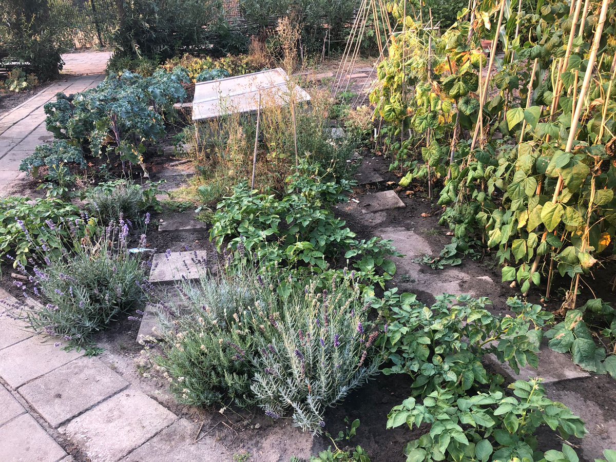 riddertuin's tweet photo. De Riddertuin is een buurtmoestuin in Tolsteeg/Hoograven, Utrecht. Samen verbouwen we groente aan de Ridderlaan. Zin om mee te doen: mail: riddertuin@gmail.com of twitter! https://t.co/W5TtPecSTn