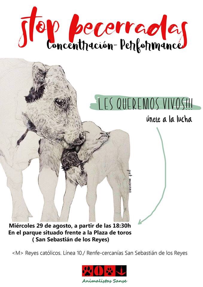 AnimalSanse's tweet photo. Ya hemos superados las 100,000 firmas en @Change, que se exigen para la suspensión de la becerrada este 29 de agosto en #Sanse.
Esperemos sean tomadas en cuenta, ya que hemos demostrado que somos miles en contra de esta barbaridad.

✍🏻 https://t.co/FJgVHuWHfx

#StopBecerradas https://t.co/VWmeLHFbms