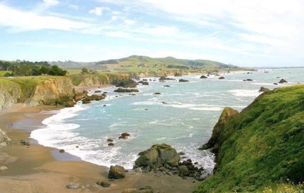 kevinknebl's tweet photo. Had a hankering for some fresh seafood. Like really, really fresh seafood. So I took a drive.... γ #bodegabay #ca #seafood #crabchowder #lifeisbeautiful https://t.co/FvW2rVF679