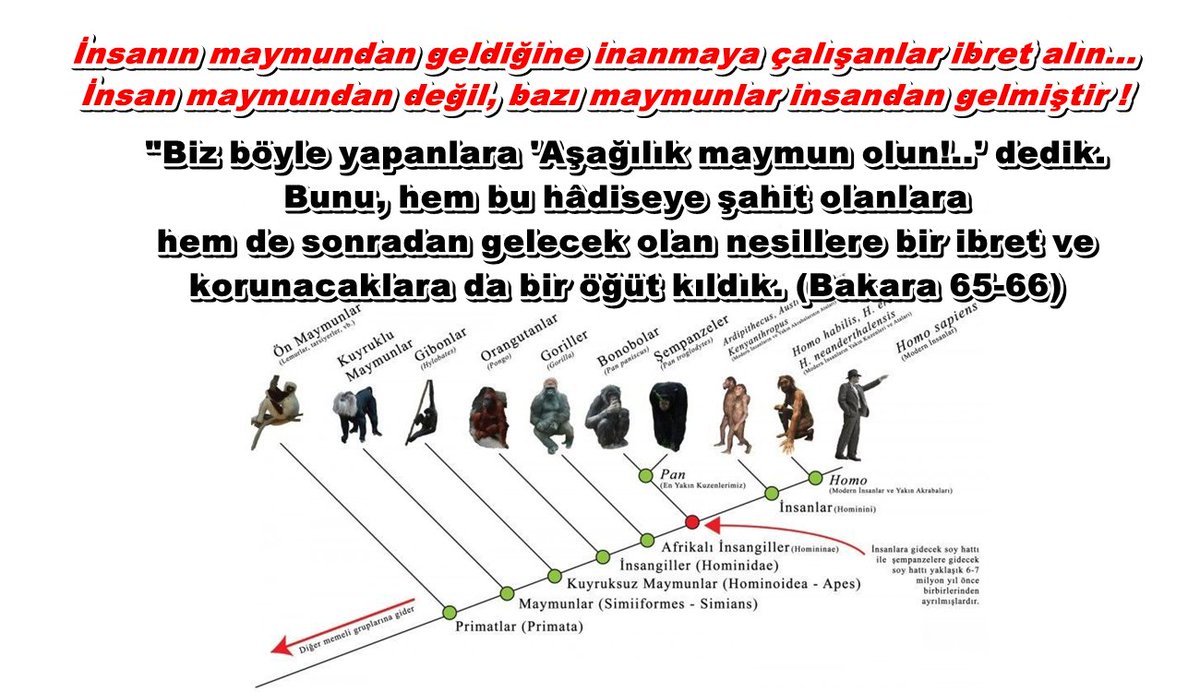 #Evrim yoktur. İbret alın.
İnsan maymundan değil, bazı maymunlar insandan gelmiştir !

"... Biz böyle yapanlara 'Aşağılık maymun olun' dedik.
Bunu, hem bu hâdiseye şahit olanlara hem de sonradan gelecek olan nesillere bir ibret ve korunacaklara da bir öğüt kıldık." (Bakara 65-66)