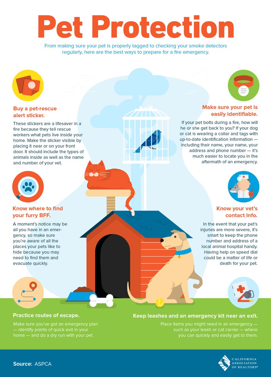 oasalrealty's tweet photo. #TuesdayTalkingPoints

Don’t forget your pets in your emergency preparation plans

#realtor #oasal #oasalrealty #RealEstate #agent #RealEstateLife #RodeoRealty #Rodeo #FineEstates #CARealTalk #socialmarketingrealtor #socialmarketingrealestateagent #socialmarketing #digitalagent https://t.co/JLJsuZ1eTB