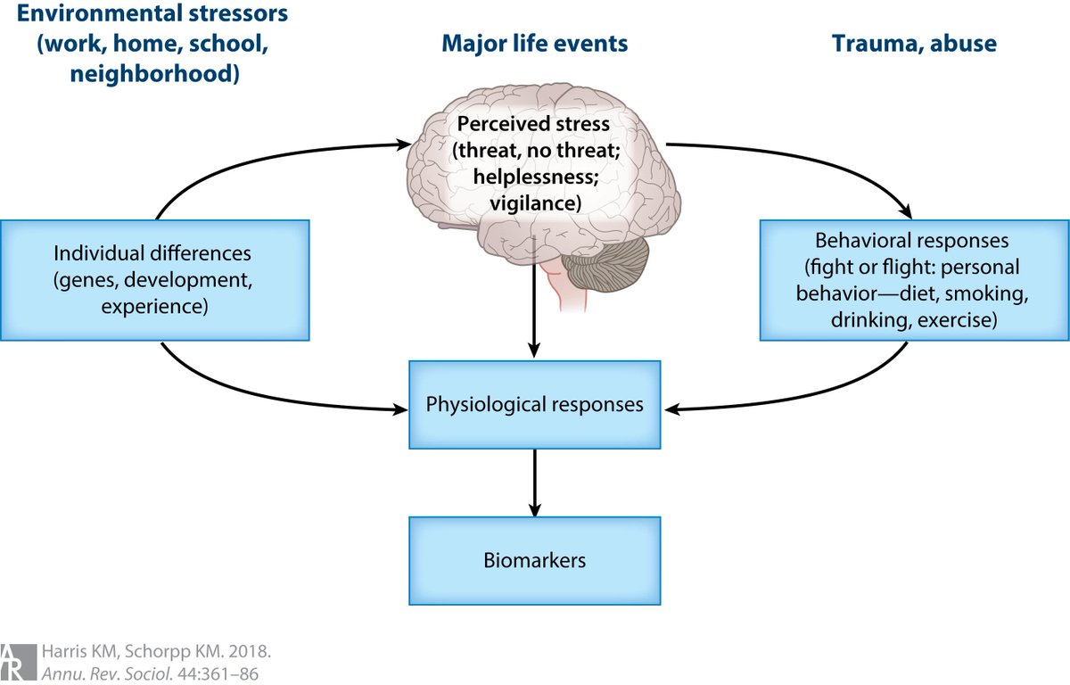 on the pragmatics of social interaction preliminary studies