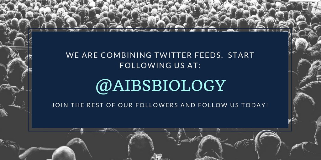 BioScienceAIBS's tweet image. Did you hear the latest news? We are #combiningfeeds. Follow us now at @AIBSbiology #peerreview #scientificreview #excitingnews #joinus #bioscience #biology #excitingnews #joinus #sciencejournal #opensource #journal