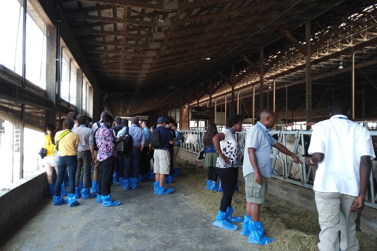 LindaZHOU tweet media