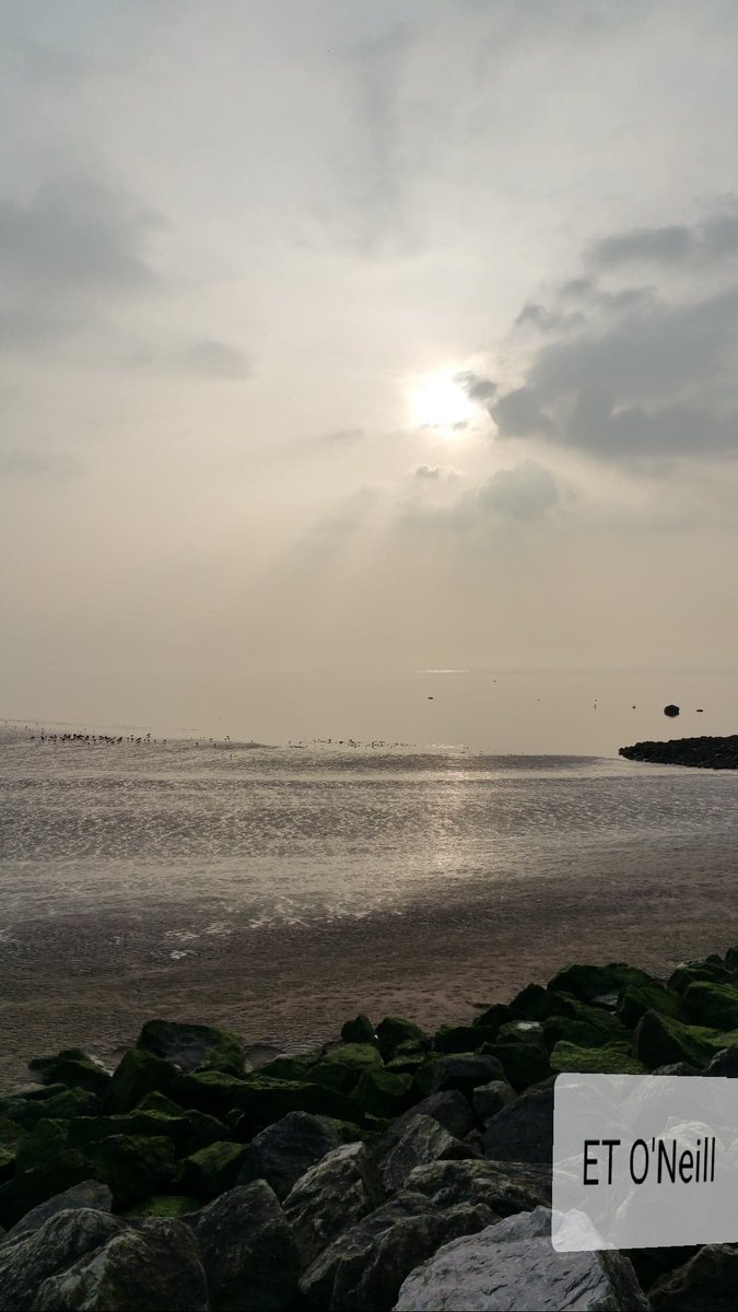 Mood..

All too often what happens
At a location stays in mind
Hurtful slurs are immovable
The lady's spit-spat insults
Still sound as fresh today
Drab natural surroundings
Pitched in the doldrums
Sepia tainted coastscape
Made it easier to say adios..
#MypoetryEileen2018