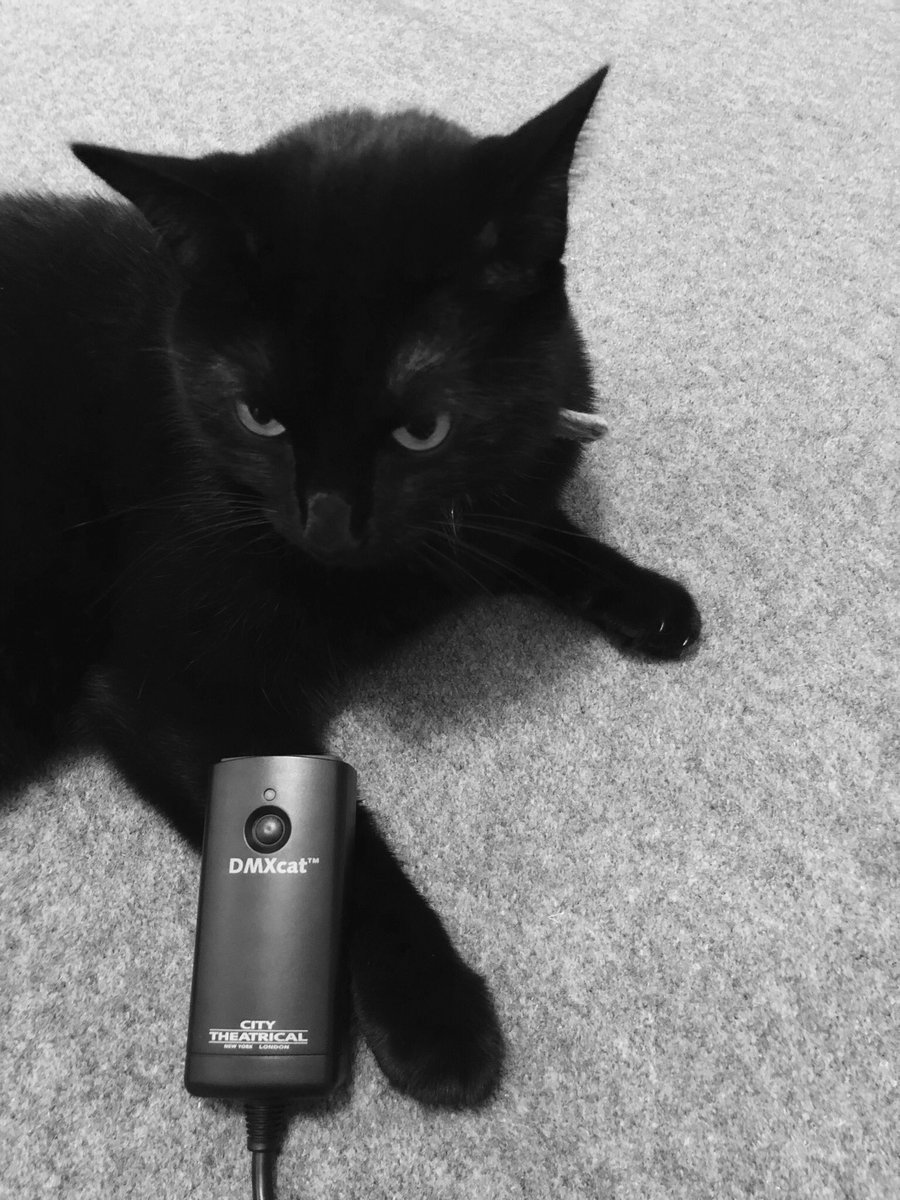 From one cat to another <a href="/CityTheatrical/">City Theatrical</a>