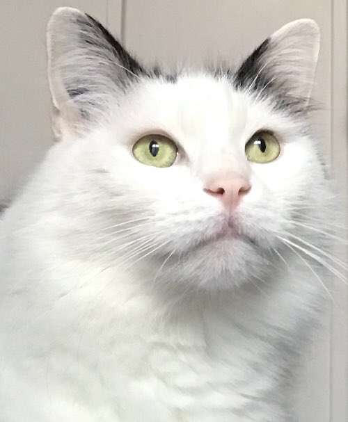 Laurence S Lsmile77 Twitter