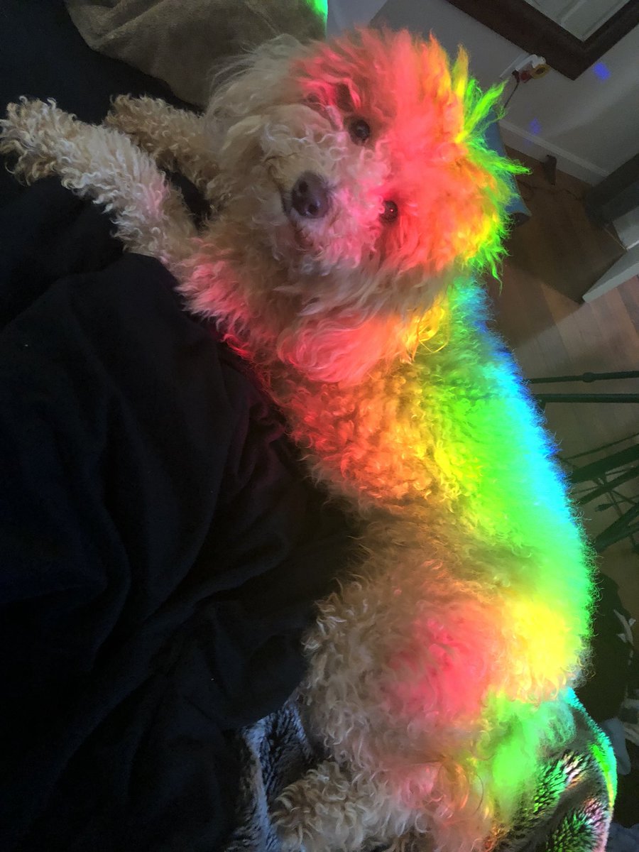 So <a href="/vivian_carbajal/">🎨Vivian Carbajal🌻</a> can predict the future...