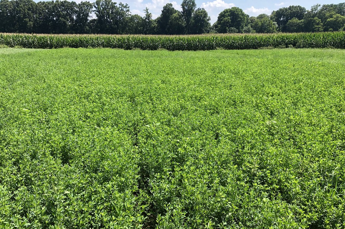 Steph Sosinski tweet media