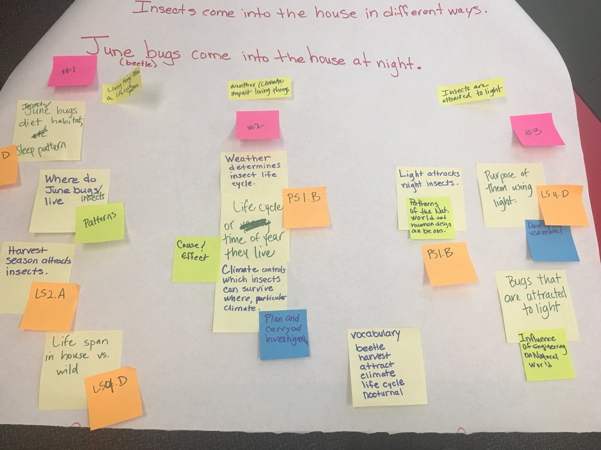 I never pictured my “wondering” about why I have to vacuum up SO many June bugs(affectionately named party bugs in my family🎉) during the summer could lead to an NGSS phenomenon based conceptual flow! @VistaNGSS Science always amazes me! #secondgrade #junebugs #partybugs