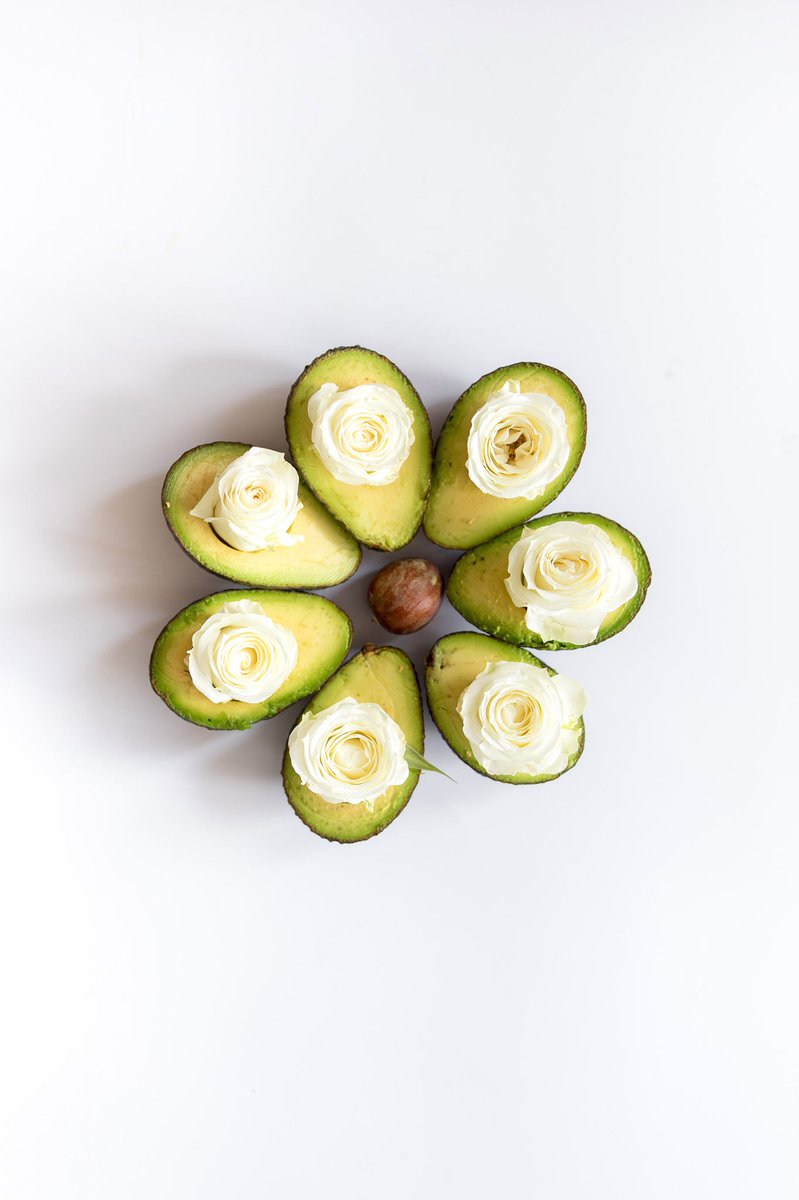 Everything I’ve avo wanted #nationalavocadoday 🥑