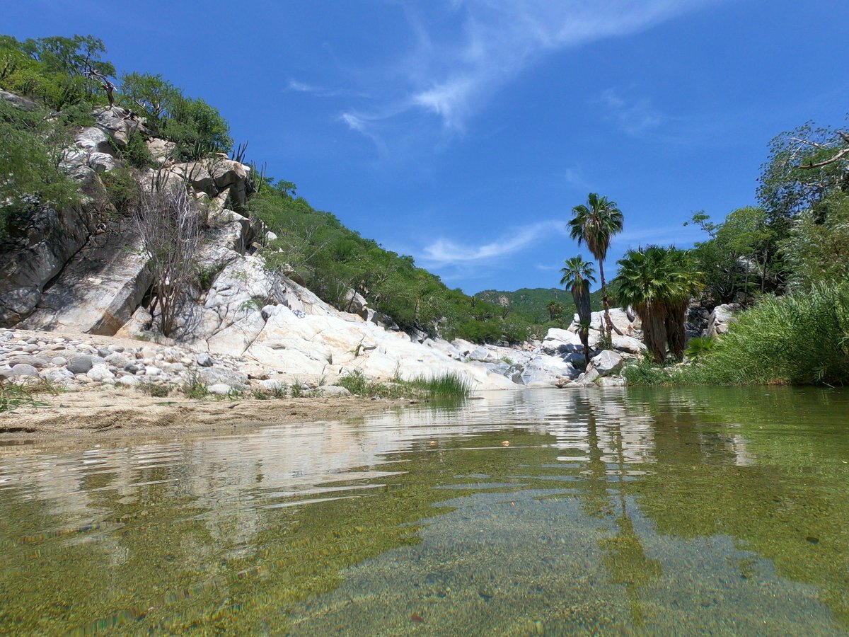 ViajaComoLocal's tweet photo. #MePongoLoco con toda la belleza que Baja California Sur esconde 
➡️ https://t.co/W5ItsDGy2S https://t.co/EvAyMDKxhw