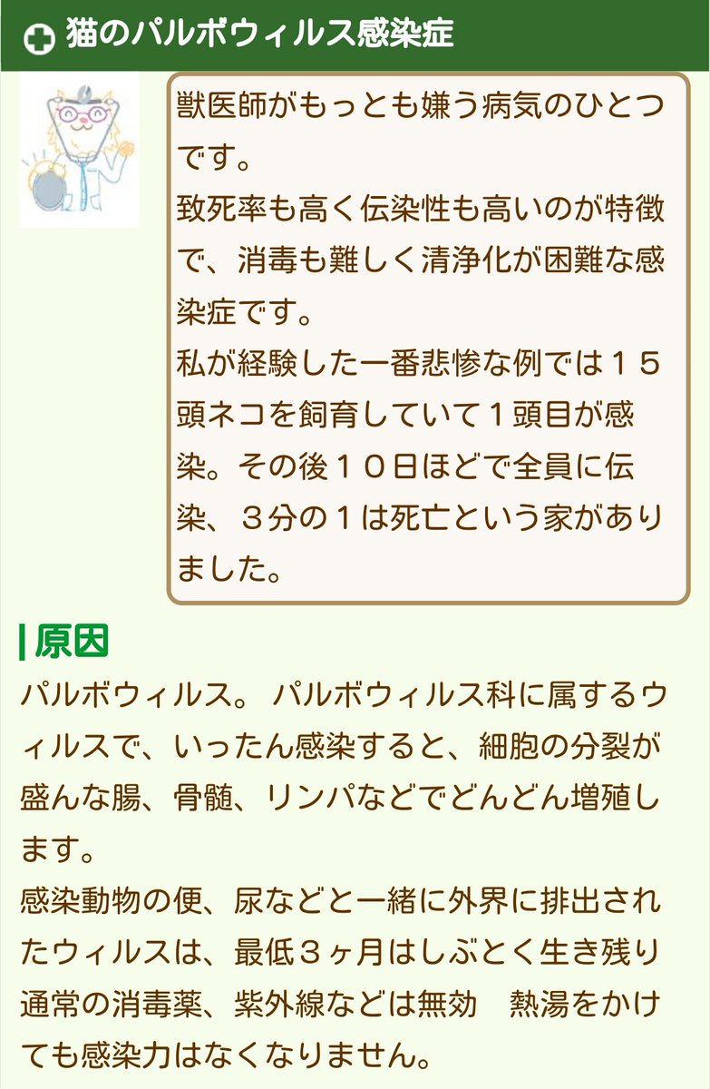 ムサコ Musako635 Auf Twitter 猫カフェからパルボウイルス感染が広がっているらしいでつ 猫パルボ以外にも犬パルボ があるそうで さらに人パルボまであるとは 人間でいうﾘﾝｺﾞ病のｳｲﾙｽらしい ホルマリンや次亜塩素酸ナトリウム 漂白剤 ﾌﾞﾘｰﾁ 等でしか死滅しない