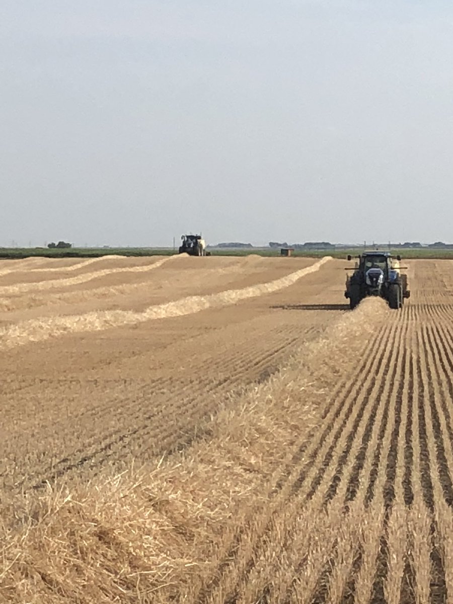 Early straw season.