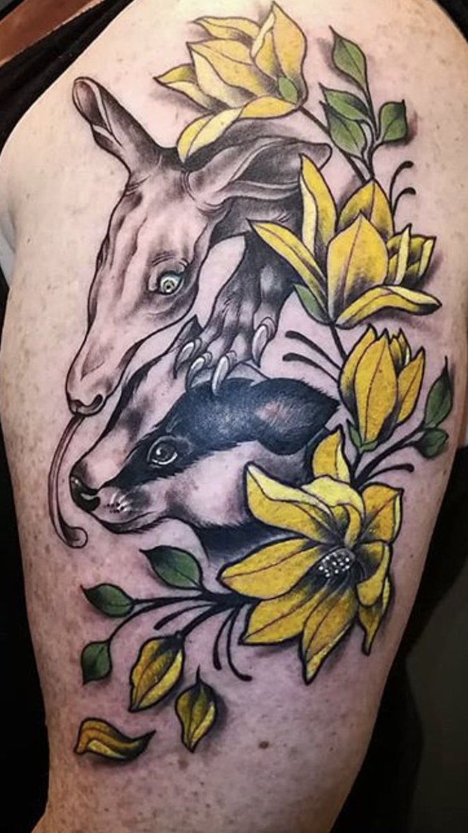 Raineca's tweet photo. @jonkerlin I don’t think a bear, aardvark tattoo would be as cool!! https://t.co/W3XfM2R0aB