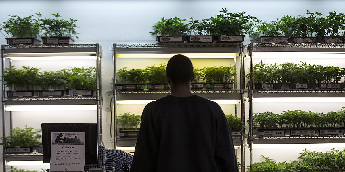 AceTheGrow tweet media