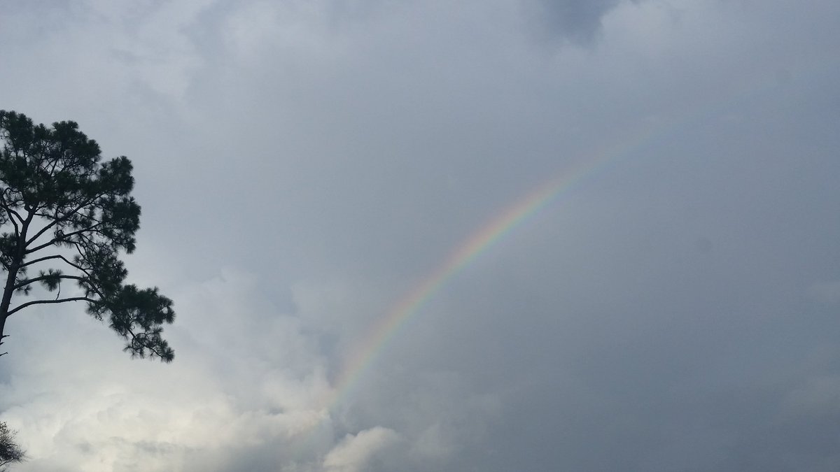 #RainbowAlert!  Cool shot from #Dothan Tuesday evening. #ALwx