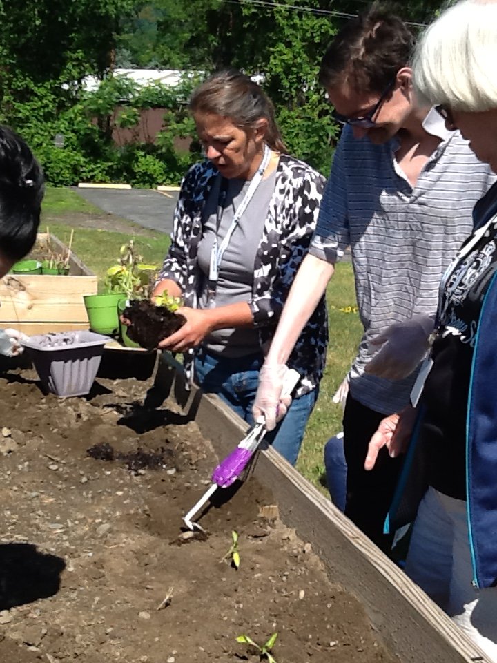 SpringbrookNY's tweet photo. This year the Dayhab therapy department is celebrating the #joy of gardening with a group of Dayhab participants. They help weed, plant, water and eventually harvest the vegetables. 👩🌾 #ExperienceSpringbrook https://t.co/sgYPO2ZnTQ