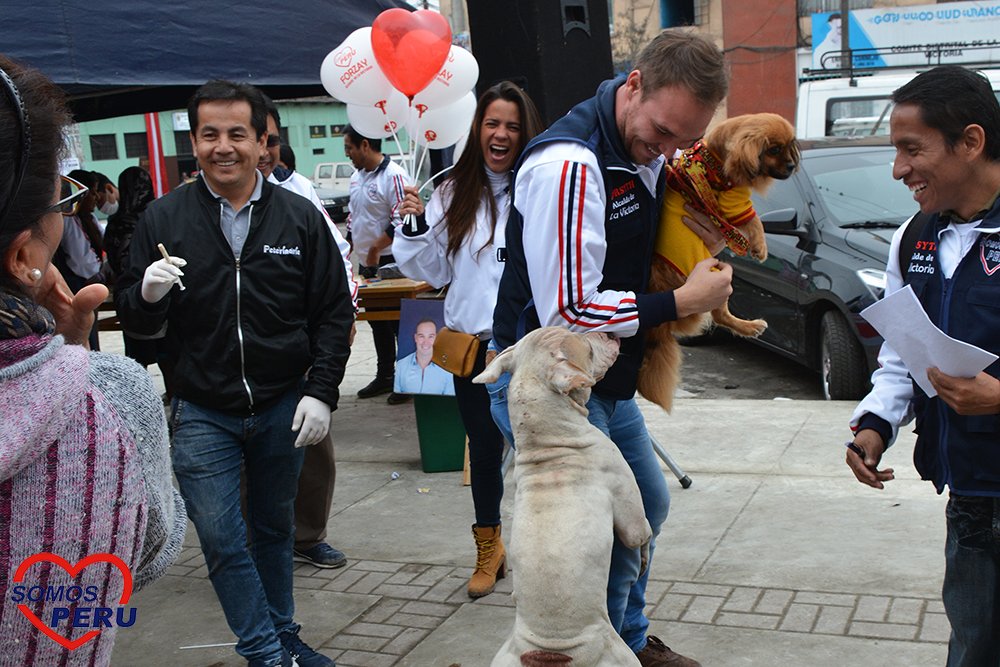 George_Forsyth's tweet photo. ¡Más de 200 mascotas fueron atendidas en nuestra campaña veterinaria en El Porvenir! #SomosMascotas #UnCambioConCorazón #ForsythALaVictoria https://t.co/9H3O1ADw6k