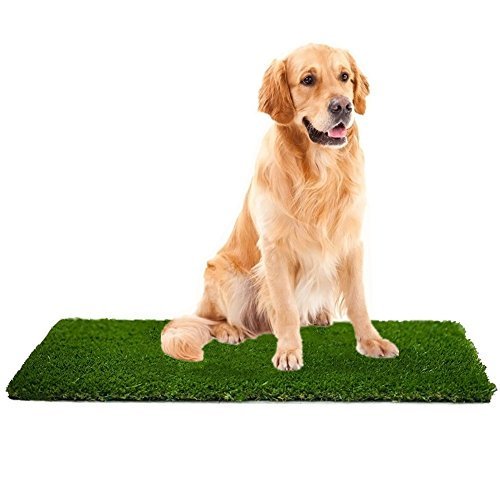 Piersquinn On Twitter Mtbro Artificial Grass Rug