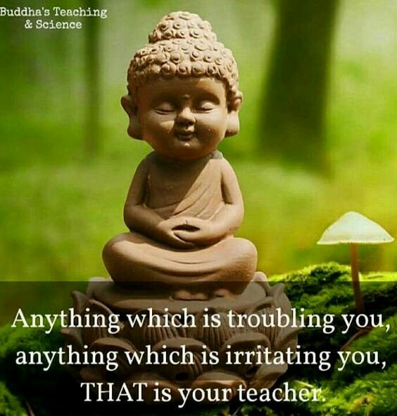 purusharth_20's tweet photo. #WednesdayWisdom #Wednesday #WednesdayMotivation #wednesdaythoughts #wednesdayflames #wednesday https://t.co/NCjWogjfwv