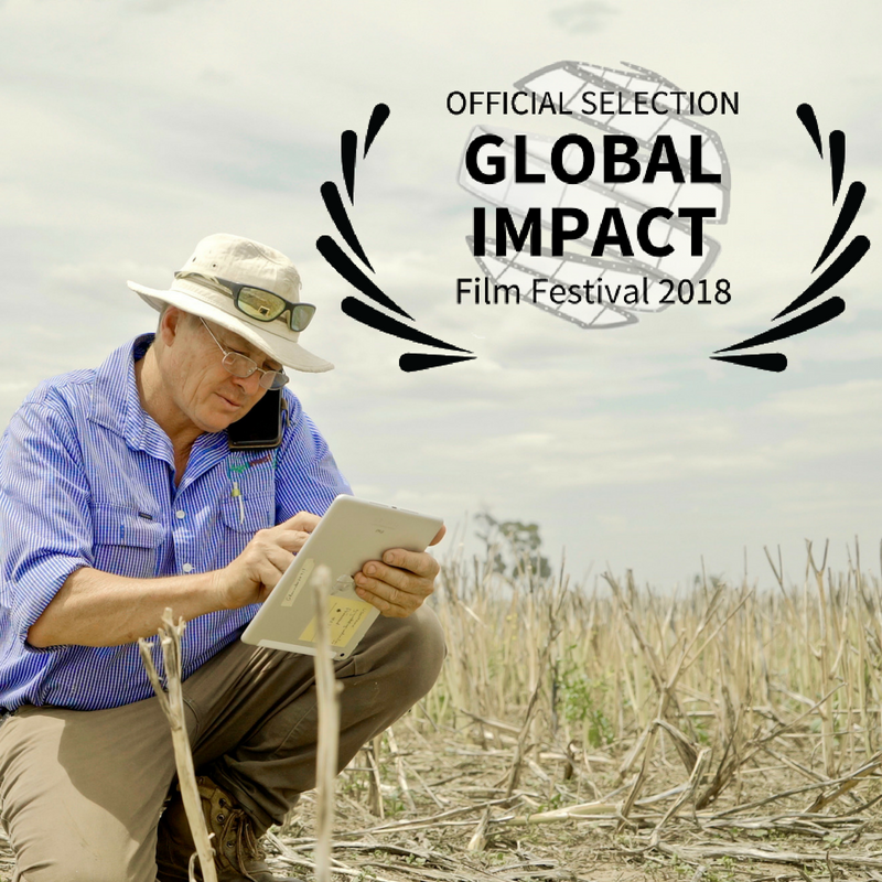GrassrootsDoco's tweet photo. Very excited to be heading to the Global Impact Festival in Washington DC later this month. Anyone going along? @globalimpactDC #GlobalImpact #Washington #Filmfest #ClimateAction https://t.co/8akTVstITa