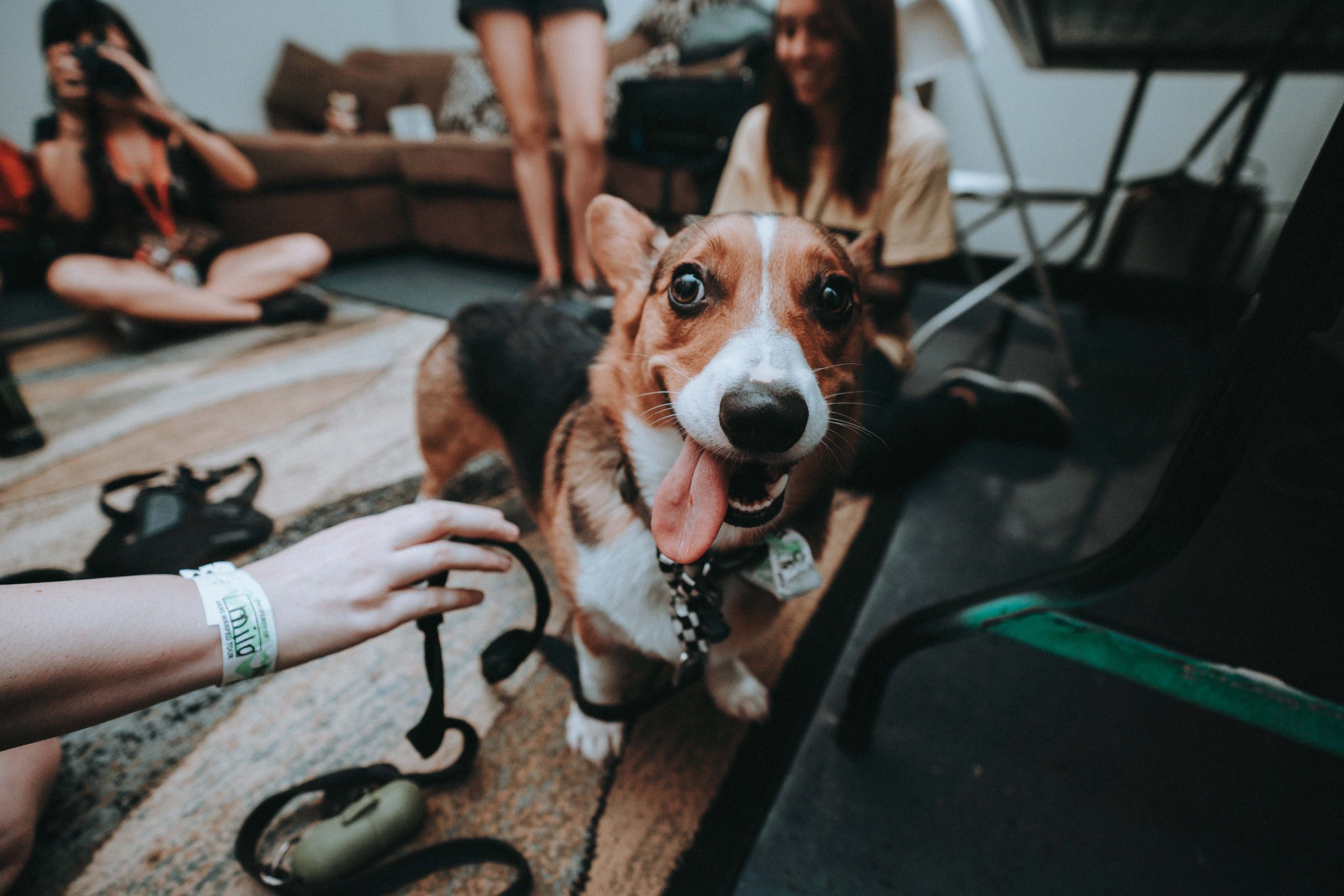 Vans Warped Tour on Twitter "THANK YOU ATLANTA today punkrockmilo was