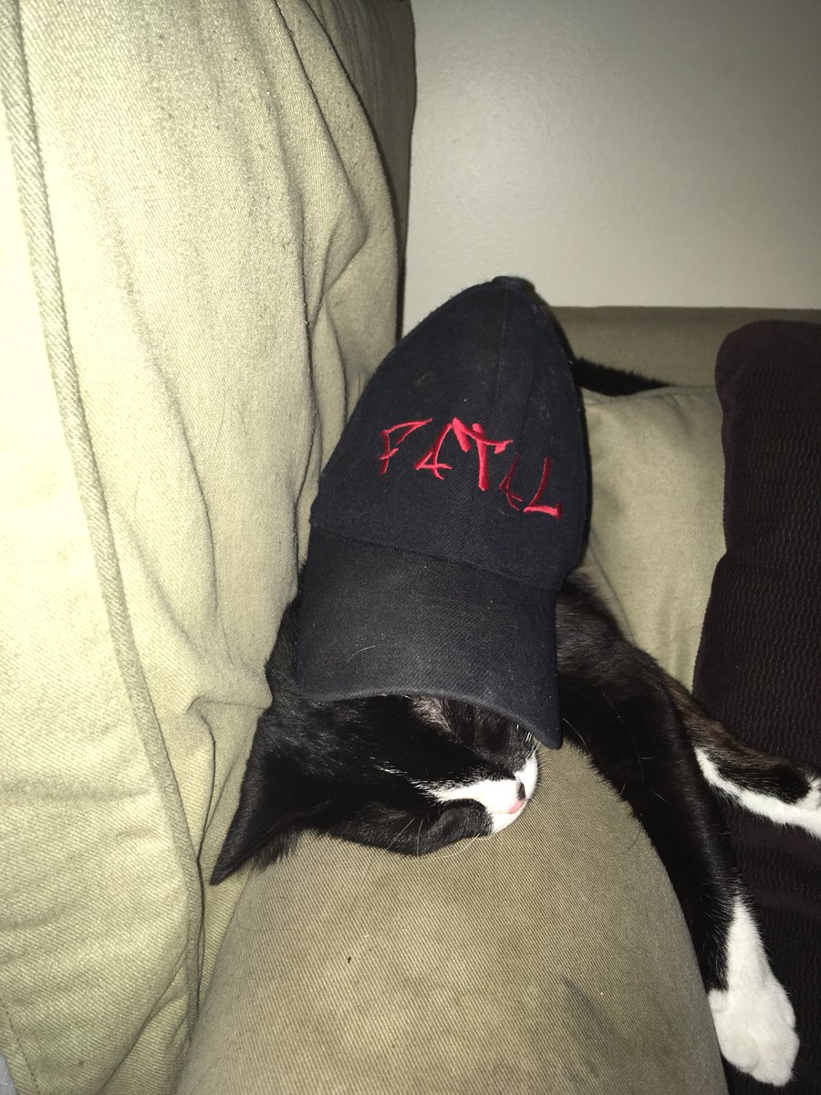 LegereKelsey's tweet photo. Vader is repping is dad in @OfficiallyFatal ‘s hat #Promote #RETWEEET #RapCat #TrapCat #FatalJ #BecomeAFatalJFan #LordVader #kitty #DaddysBoy #Mommasboy #Precious #Photogenic #Sweet #Tuxedo https://t.co/sz7bhvD77B