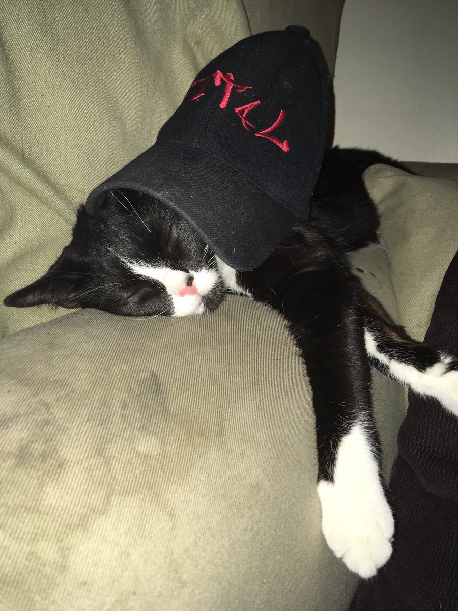 LegereKelsey's tweet photo. Vader is repping is dad in @OfficiallyFatal ‘s hat #Promote #RETWEEET #RapCat #TrapCat #FatalJ #BecomeAFatalJFan #LordVader #kitty #DaddysBoy #Mommasboy #Precious #Photogenic #Sweet #Tuxedo https://t.co/sz7bhvD77B