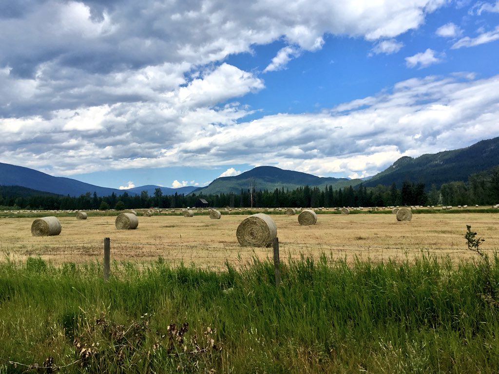 artbybiancaa's tweet photo. Missing the farm! ๐จ๐ฆ
#childhoodmemories #farming #farms #roundbales #hay #farmlife #bcfarms #naturalohotod #nonfilterd https://t.co/aAzPIhjVsU