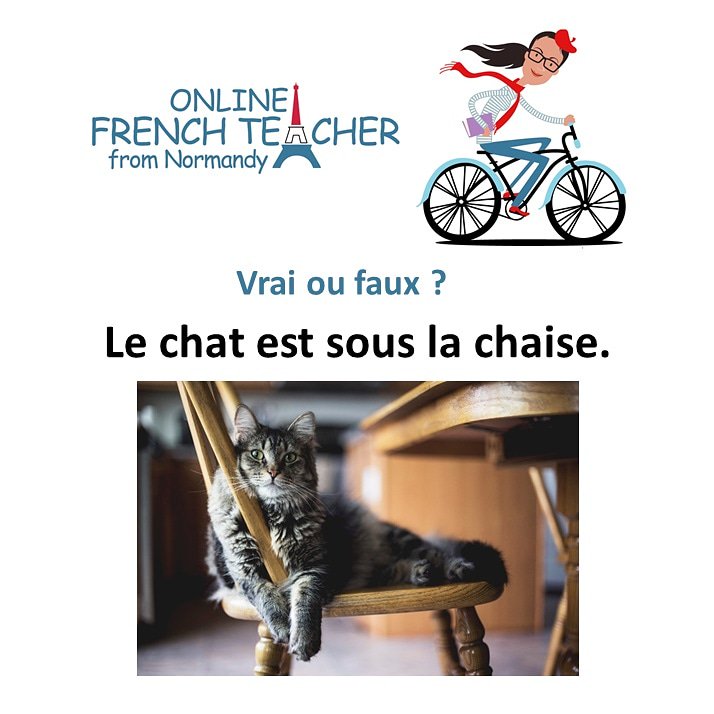 OnlineFLEtutor's tweet image. Quizz ⁉️✔🇫🇷
🐱 J&apos;attends vos réponses, vos questions et / ou vos commentaires. 
#fle #gamificationlearning #frenchholiday #frenchteacher #frenchonline #learnfrench #studyfrench #masterfrench #classedefrançais #barcelona #castelldefels #washington #shanghaï