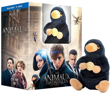 Figuirne Hashtag On Twitter