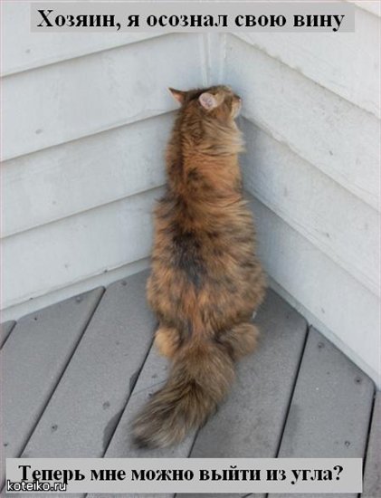 eradetstva's tweet photo. #мимими #кот #котики #юмор #прикол #москва #россия https://t.co/zWgcKGgtX1