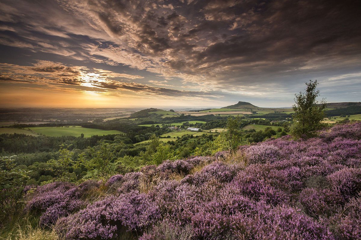NorthYorkMoors's tweet photo. Happy #YorkshireDay! Roseberry Topping is one of our favourite views in the #northyorkmoors.
(c) Mike Kipling https://t.co/RmYDpfDGLm