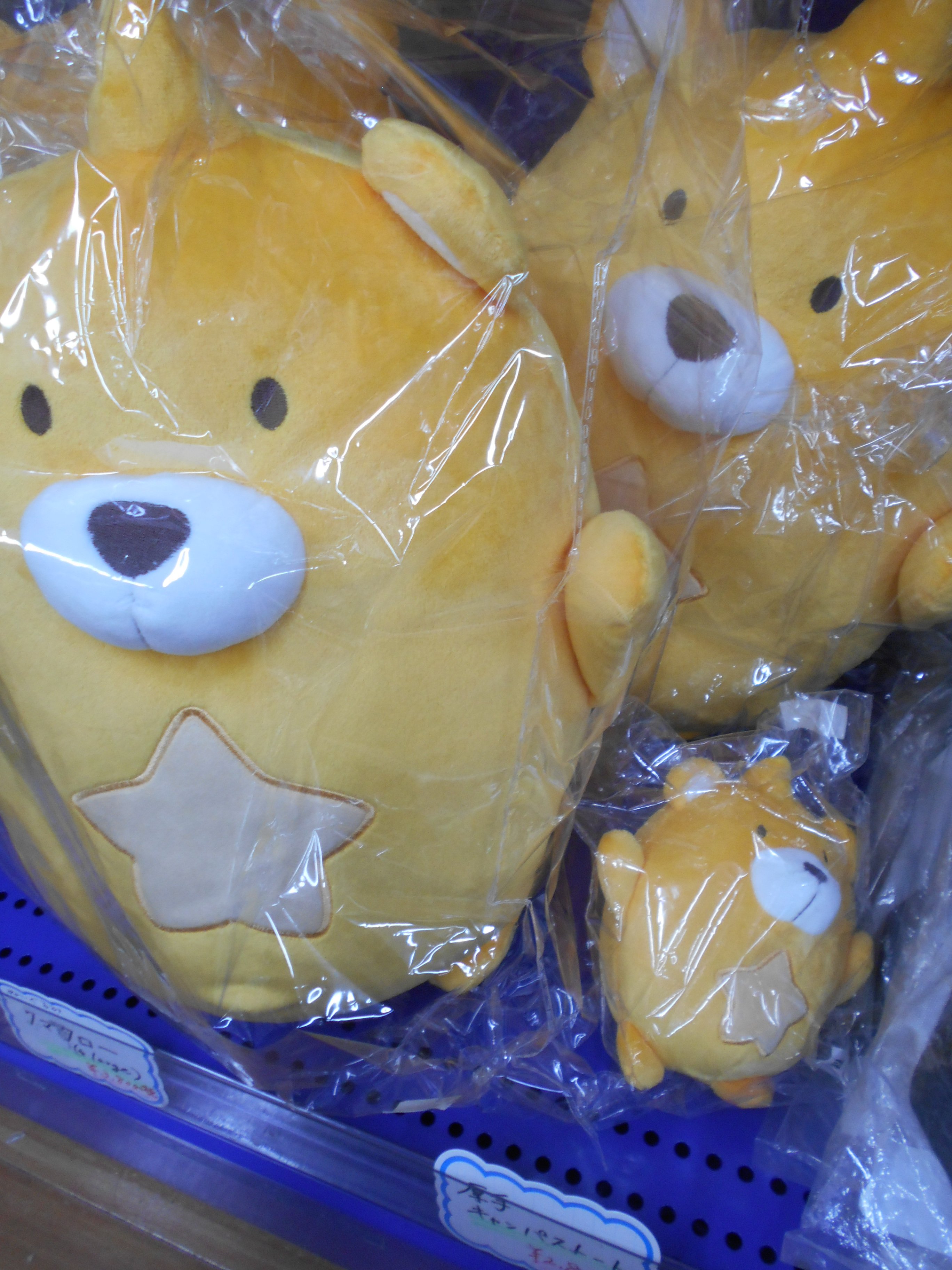 はらぺこ商店 クマタロー 小 V クマタロー ぬいぐるみ Eve はらぺこ