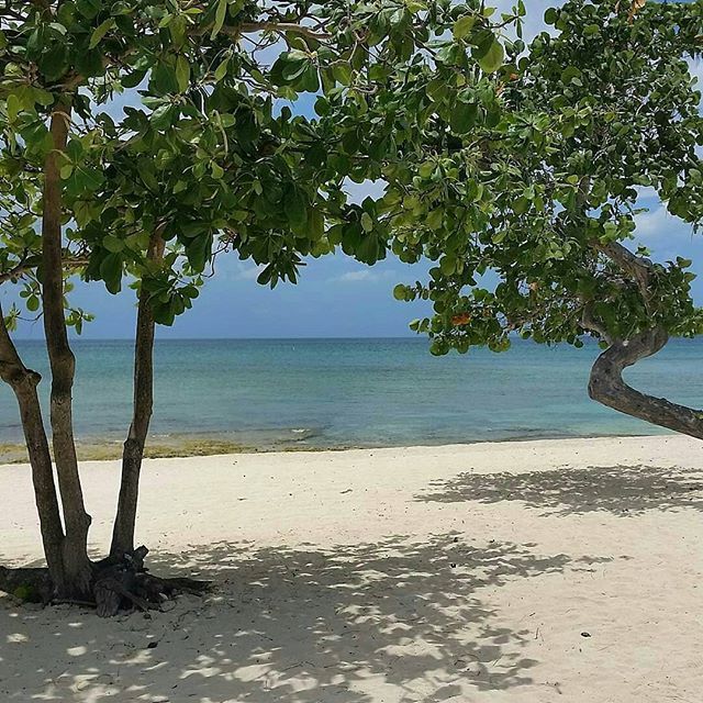 ExpatFocus's tweet image. This is the kind of vista some expats dream of - turquiose skies and seas, run with white sand beaches in the Cayman islands. 📷: @rverityhk
.
.
.
#emptybeach #caymanislands #Caribbean #nofilterneeded #visitcaymanislands #thecaymanconcierge #ilovethes… ift.tt/2LIkwGg