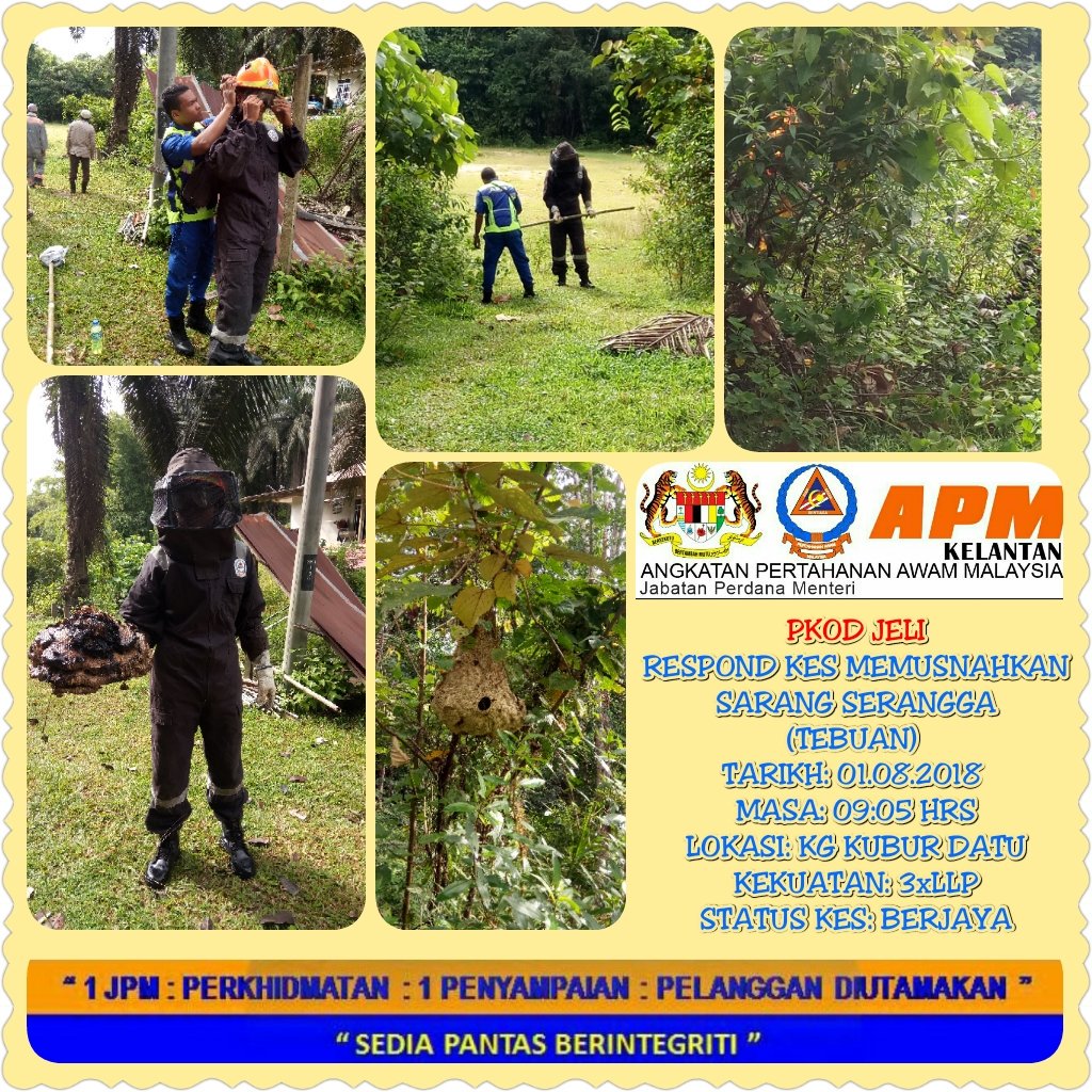 APM Jeli tweet media