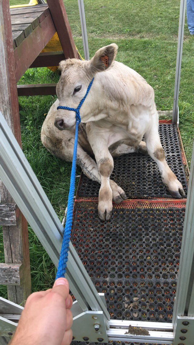 <a href="/ffa4hsubtweets/">Stock Show Subtweets</a>