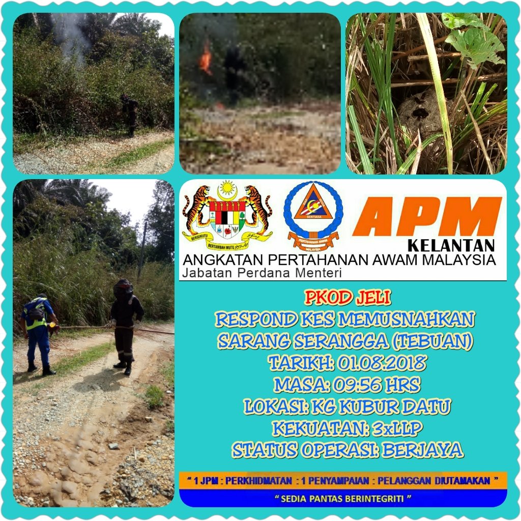 APM Jeli tweet media