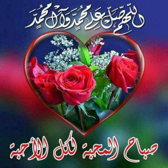 الصفى (@mho_1960) on Twitter photo 