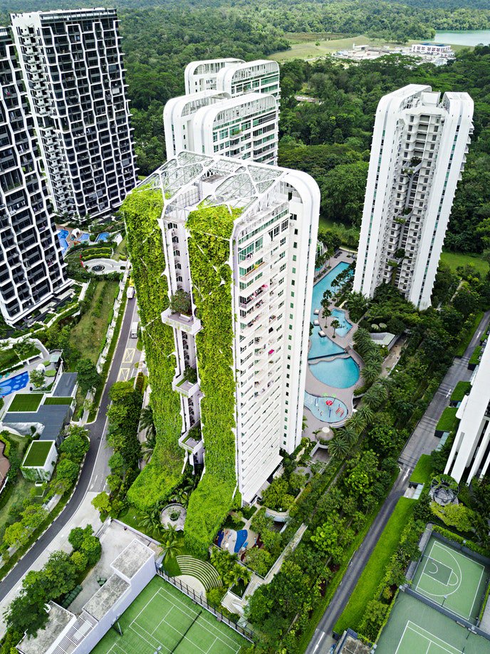 AFAR Media tweet media