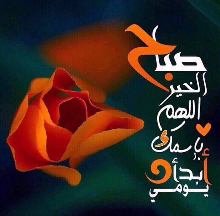 الصفى (@mho_1960) on Twitter photo 