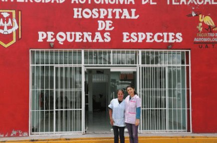 huamantla's tweet image. #Extranjera en Apizaco aprende a #esterilizar para #implementar en Colombia huamantla.org/2018/07/31/ext…