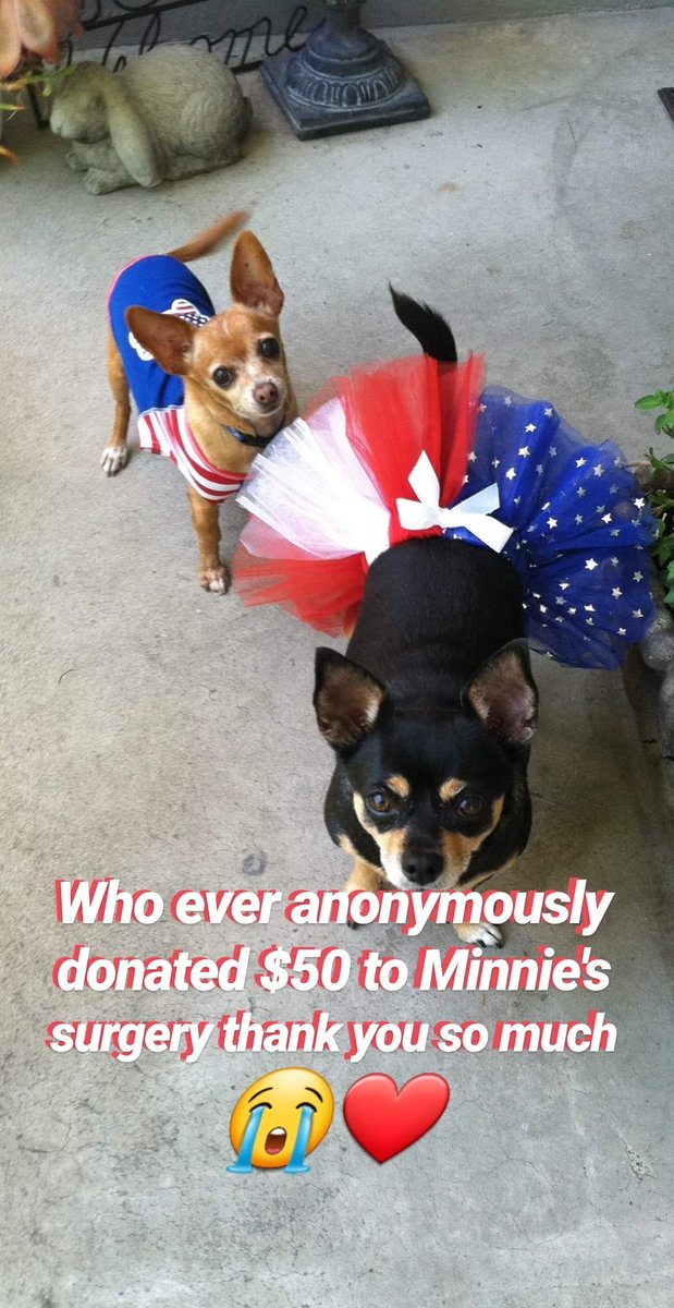 Cecilé Rose (@cescherie) on Twitter photo 