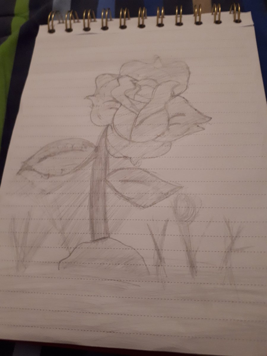 LynJamy's tweet photo. Do anybody want a flower https://t.co/EdAGRHWdtg