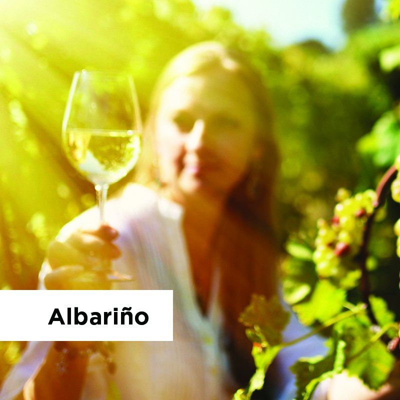 Happy International Albariño Day! Hailing from Galicia in Spain, Albariño has made a happy home in New Zealand, and is now found throughout the country's regions. #InternationalAlbariñoDay #WineWednesday #nzwine